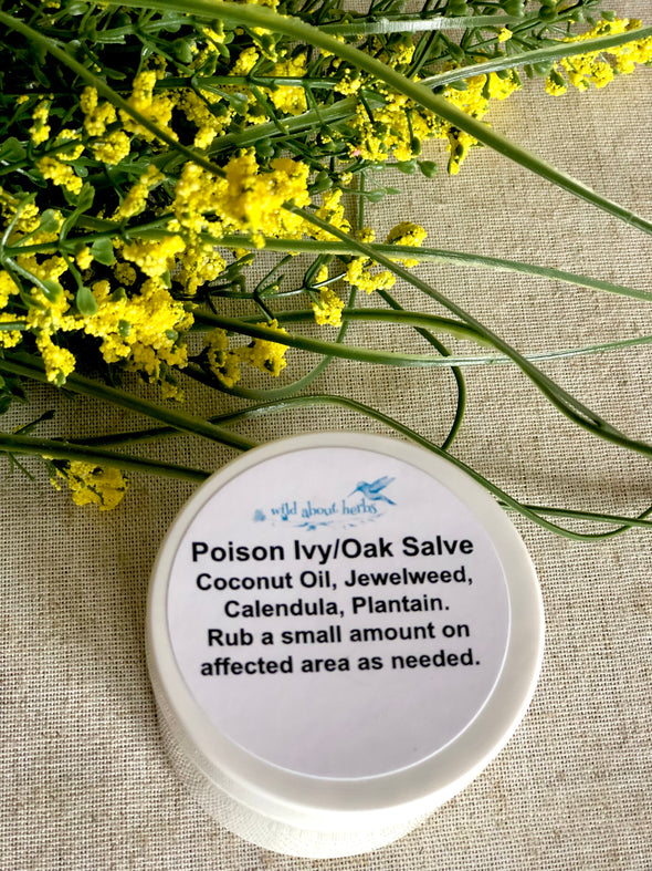 Jewelweed Salve for Poison Ivy